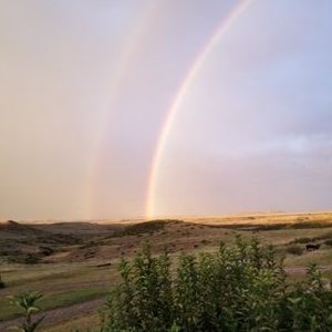 Profile Picture of Joe Bittner (@AmericanJoe33) on Twitter