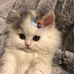 Profile Picture of Lisa Key (@lisa.key.16568) on Facebook