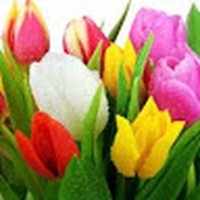 Profile Picture of Tera Peterson (@tera-peterson-3) on Quora