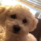 Profile Picture of Tam Ly (@tamcutie123) on Youtube