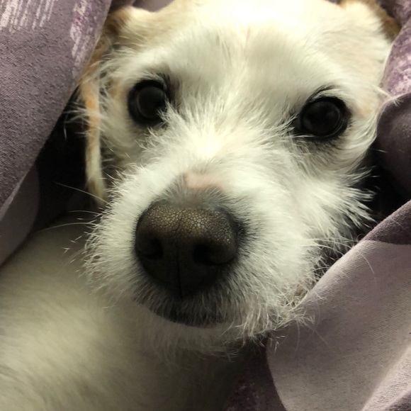 Profile Picture of Wai yip Fong (@fongwaiyip) on Poshmark