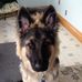 Profile Picture of David Daigneault (@david.daigneault.7) on Facebook