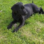 Richard Knaggs - Instagram Profile Picture of Richard Knaggs (@knaggs_richard) on Instagram