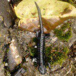 Profile Picture of Cindy Hemmerich (@cindyhemmerich) on Instagram