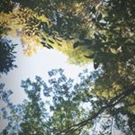 Profile Picture of Montay Alejandro Romero (@montay.romero) on Instagram