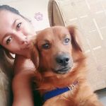 Profile Picture of Ginger (@gingersilva_a) on Instagram