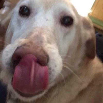 Profile Picture of BELLE (@d0gbelle) on Twitter