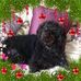 Profile Picture of Audrey Knipe (@audrey.knipe.1) on Facebook
