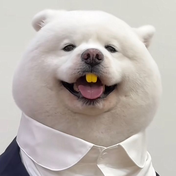 Profile Picture of Aaron (@aaron_masteraccount) on Tiktok