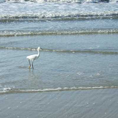 Profile Picture of Stephen J Barrington (@s4barrington) on Twitter