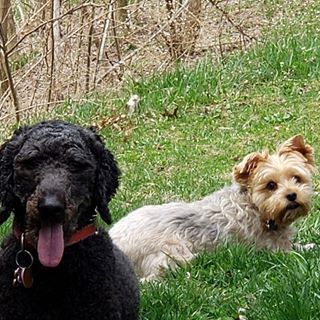 Profile Picture of Kim Cosner (Hawk) (@kim.hawk.900) on Facebook