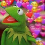 Profile Picture of Seth Gray (@kermit_thefroggo) on Instagram