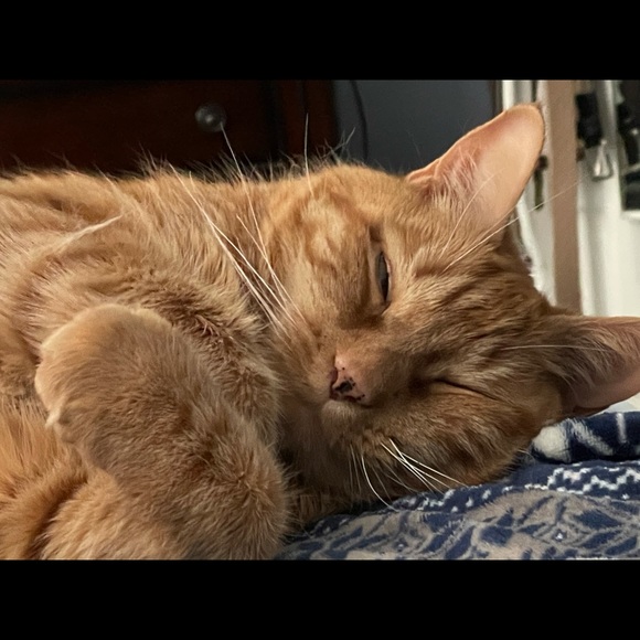 Profile Picture of Kim Basciano (@k_basciano) on Poshmark