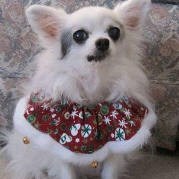 Profile Picture of Linda Twedt (@roger1947) on Poshmark