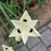 Profile Picture of David Bloch (@davidzerever) on Youtube