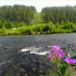 Profile Picture of Longerich (@longerichriv) on Instagram