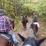 Profile Picture of Sylvie Chouinard (@sylvie.chouinard63) on Instagram