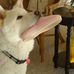 Profile Picture of Cheryl L Weatherford (@Cheryl-L-Weatherford) on Facebook