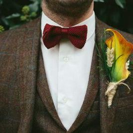 Profile Picture of Daniel Steed (@SteedDaniel) on Twitter