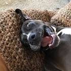 Profile Picture of   Stacy Nadeau (@stacynadeau)... (@stacynadeau) on Tiktok