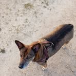 Profile Picture of Robert Danner (@Robert-Danner) on Facebook