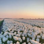 Profile Picture of Jeffrey Reed Reed (@Jeffrey-Reed-Reed) on Facebook