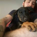 Bradley Strickland - Instagram Profile Picture of Bradley Strickland (@brads94) on Instagram