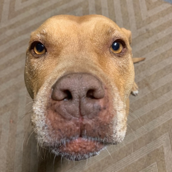 Jose Sotelo - Poshmark Profile Picture of Jose Sotelo (@josesotelo847) on Poshmark