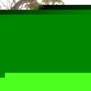 James Bonnici - Myspace Profile Picture of James Bonnici (@jimson88) on Myspace