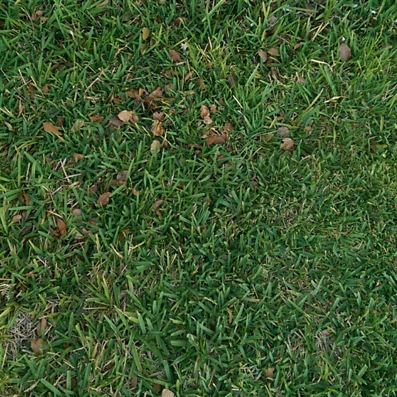 Profile Picture of Jon Kelskey (@jonnyblazem9) on Poshmark