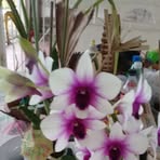 Profile Picture of Roberta Simons (@roberta.simons.716) on Facebook