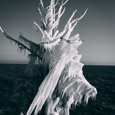 Profile Picture of Terry Wong (@XedricDC) on Twitter