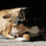 Profile Picture of La Ron Allen (@lala3972) on Flickr