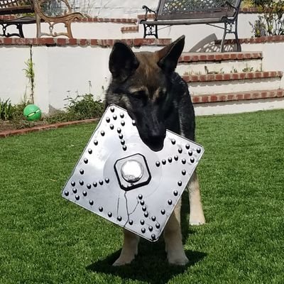 Profile Picture of Kim Baxter (@KimBaxter) on Twitter