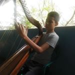 Profile Picture of José Félix (@glencyfranco123456) on Instagram