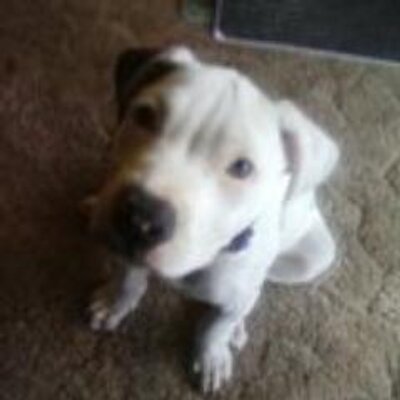 Profile Picture of JOJO1031 (@JoanneDoerner) on Twitter