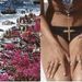 Profile Picture of C shella (@claraflamingo) on Pinterest