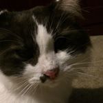 Profile Picture of Avery rose conroy (@avery_rose_conroy23) on Instagram