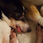 Profile Picture of Mickey (@mickeycantrell44) on Instagram