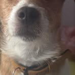 Profile Picture of Mark Staniak (@Mark-Staniak) on Facebook