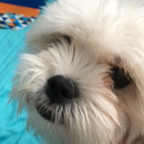 Profile Picture of Julia Persak (@planetjewels) on Poshmark