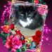 Profile Picture of Sherry Andersen (@sherry.andersen.54) on Facebook