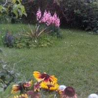 Profile Picture of Laura Sharman (@laura-sharman-10) on Quora