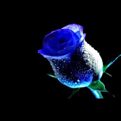 Profile Picture of ๒г๏๏к Ŧ๏รՇєг (@sthrnbelle82) on Twitter