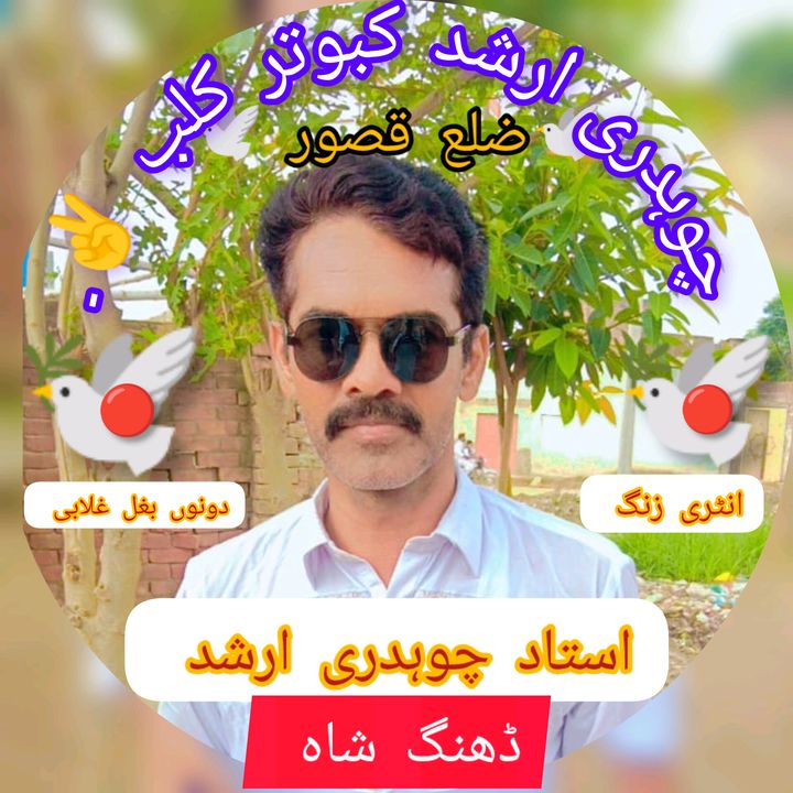 Profile Picture of Ch Arshad Group ✌️🦅 (@danish.mughal67) on Tiktok