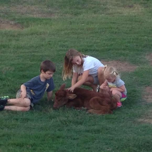 Profile Picture of Dustin Young (@ydustin27) on Poshmark