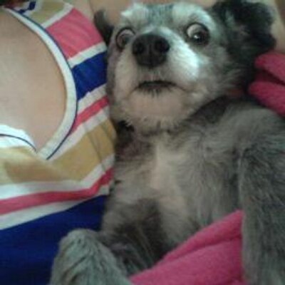 Profile Picture of Darren R Mcbride (@dazmcme) on Twitter