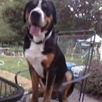 Profile Picture of Brian Pelletier (@pelletier_brian) on Instagram