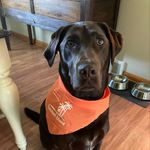 Profile Picture of Leo Brooks (@leobrooks2020) on Instagram