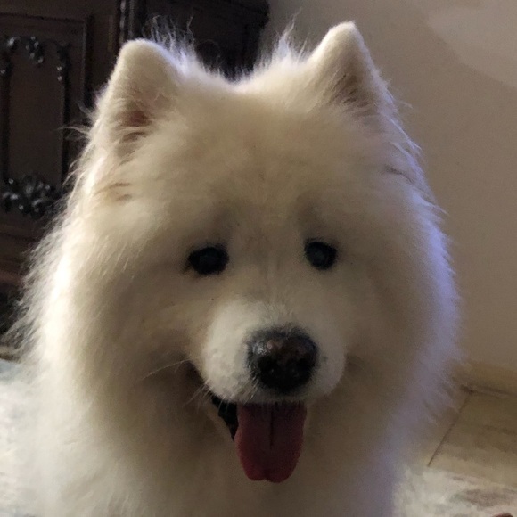 Profile Picture of Bianca Wells (@beeunka123) on Poshmark